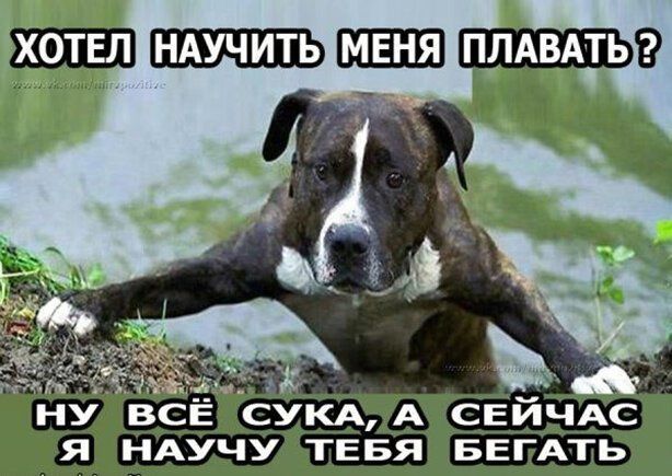 ХОТЕЛ НАУЧИТЬ ПЛАВАТЬ