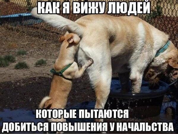 ШПРЫЕ ПЬПЁЮШЯ ЛПБИТЫШ ПЦВЬШЕИ1__ НАЧШЬБТВА