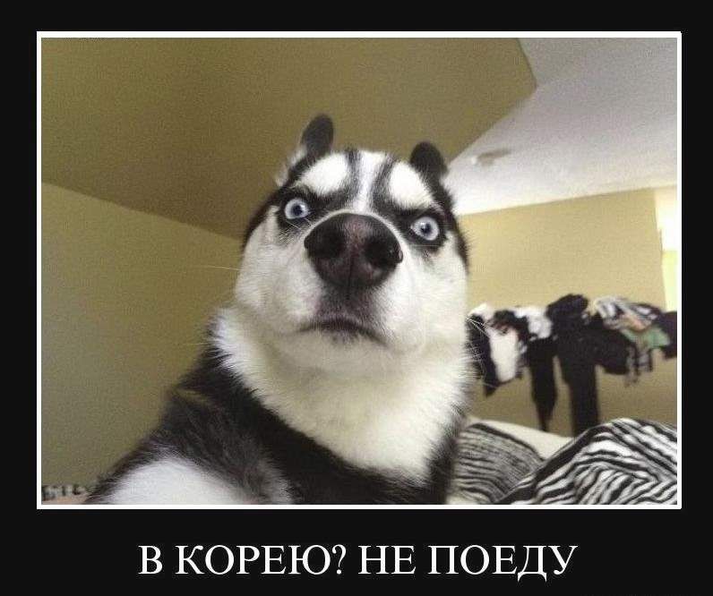 В КОРЕЮ НЕ ПОЕДУ