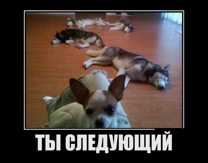 ТЫ ЁЛЕДУЮЩИЙ