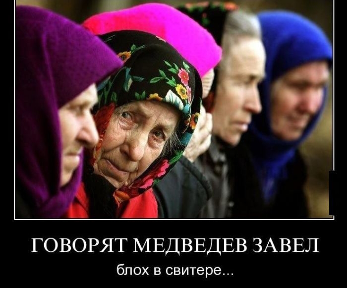 говорят МЕДВЕДЕВ ЗАВЕЛ блох в свитере