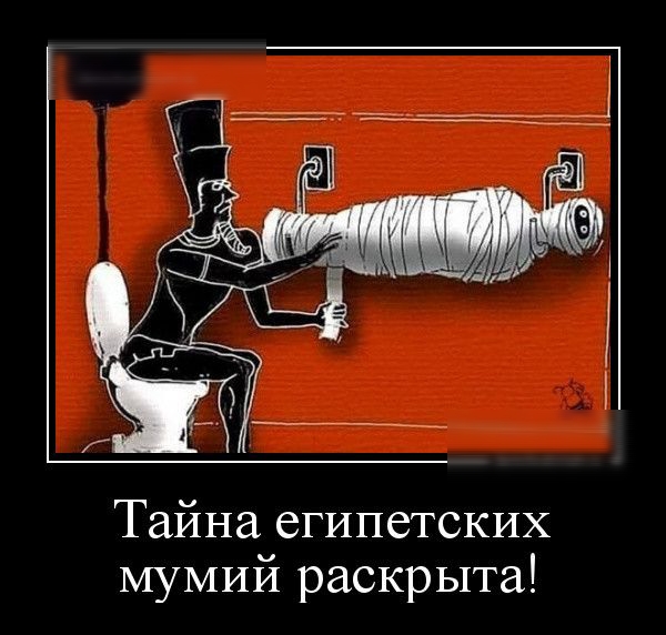 Тайна египетских мумий раскрыта