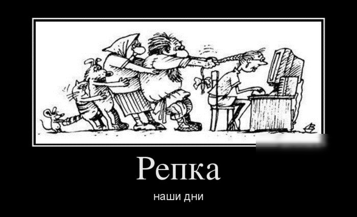 Репка НЭШИ ДНИ