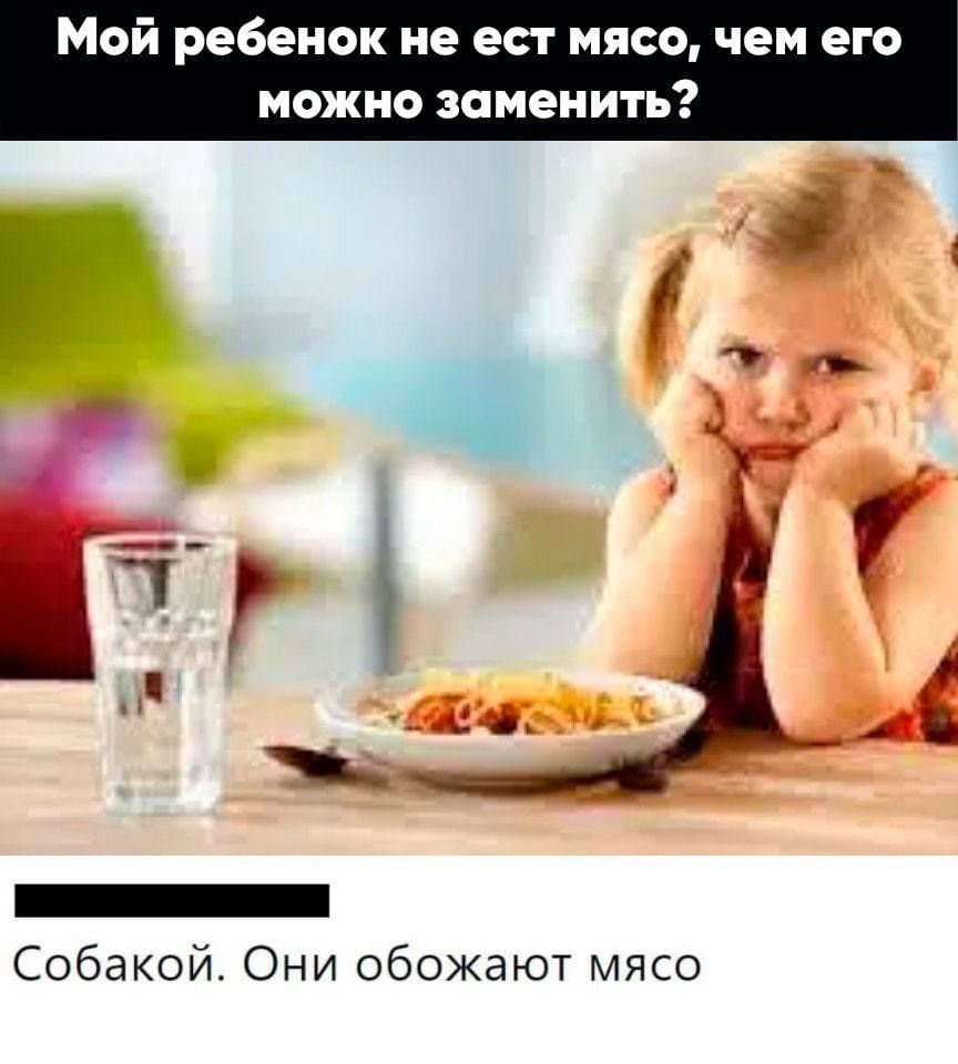 Мой ребенок не ест мясо чем его можно заменить Собакой Они обожают мясо