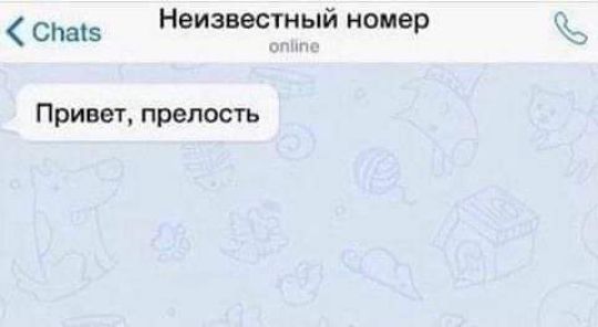 спец Неизвестный номер Привет прелость
