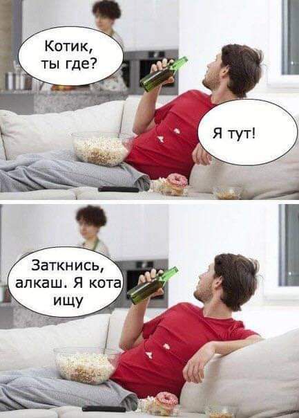 Котик ты где Заткнись алкаш Я кота