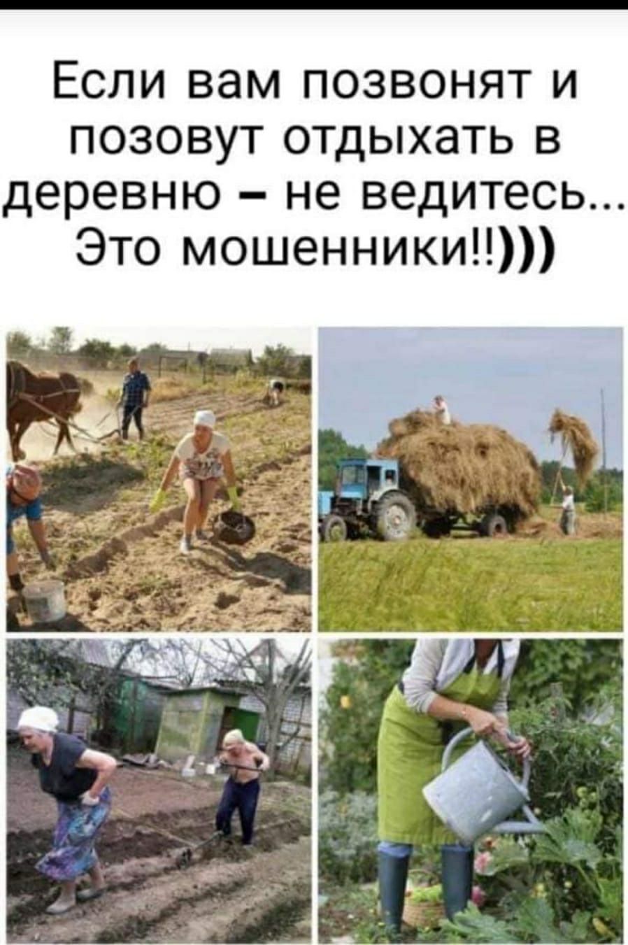 Если вам позвонят и позовут отдыхать в деревню не ведитесь Это мошенники