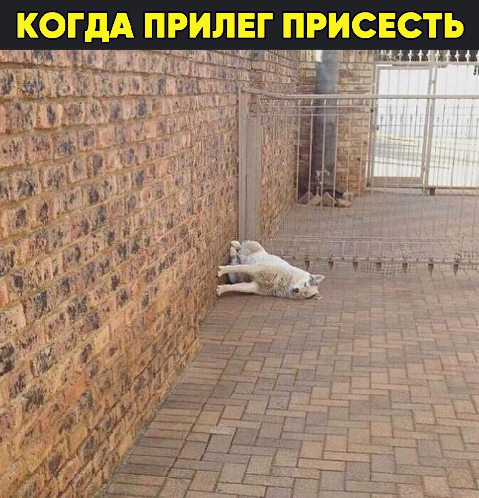 КОГДА ПРИПЕГ ПРИСЕСТЬ