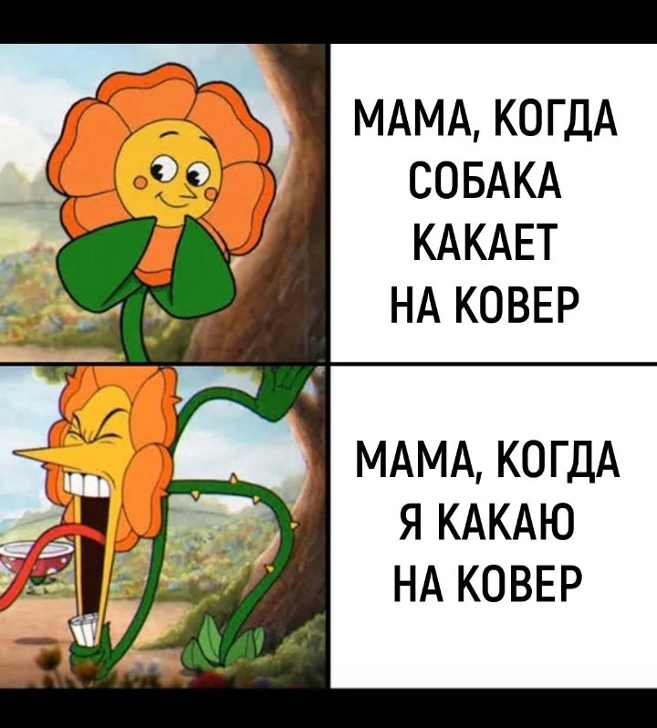 МАМА КОГДА СОБАКА КАКАЕТ НА КОВЕР МАМА КОГДА ямщю НА КОВЕР