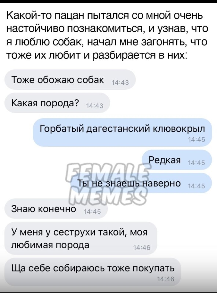 Какой то пацан пытался со мной очень настойчиво ПОЗНЭКОМИТЬСЯ И узнав ЧТО я люблю собак начал мне загонять что тоже их любит и разбирается в них Тоже обожаю собак Какая порода Горбатый дагестанский клювокрыл М 1 Редкая ТЫ не знаешь наверно Знаю конечно У меня у сеструхи такой моя любимая порода Ща себе собираюсь тоже покупать 14 46