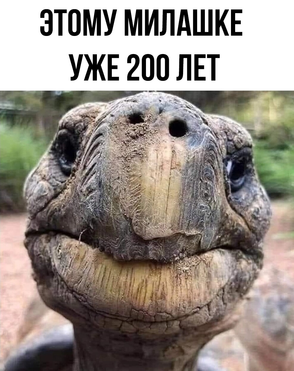 ЭТОМУ МИЛАШКЕ УЖЕ 200 ЛЕТ