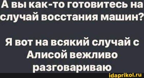 А вы как то готовитесь на случай восстания машин я вот на всякий случай с Алисой вежливо разговариваю питты
