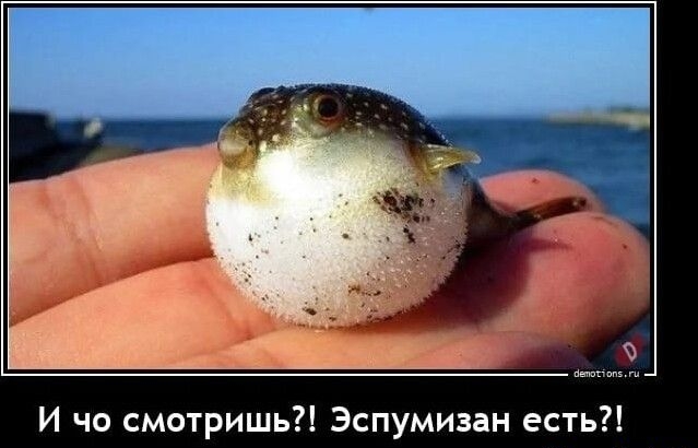 И чо смотришь Эспумизан есть