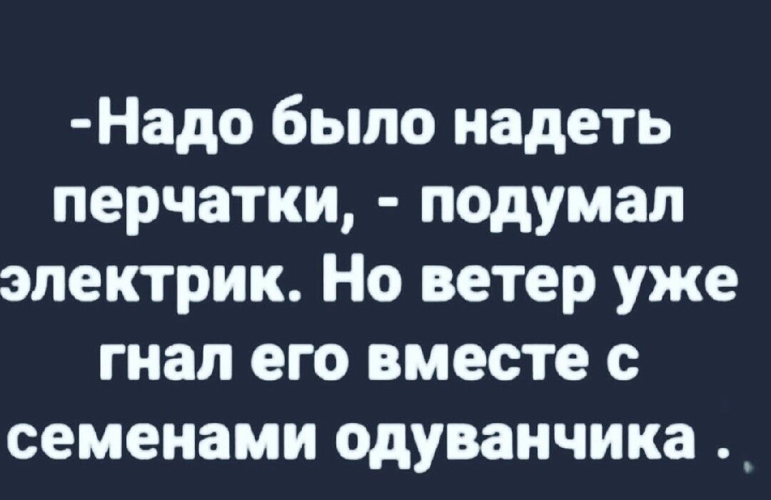 Надо было надеть перчатки подумал электрик Но ветер уже гнал его вместе с семенами одуванчика _