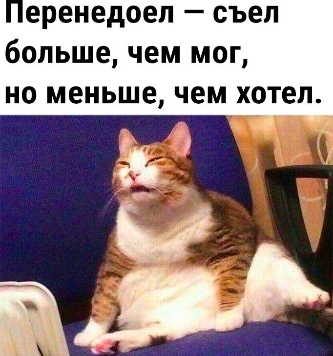 еренедоеп съел больше чем мог но меньше чем хотел