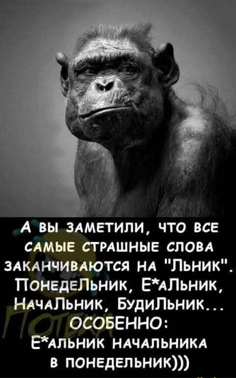 А вы злметили что все сдмыв стмшные слом злкднчивдются нд Льник ПонгдеЛьник ЕАлЬник НАЧАЛЬНИК БУДИЛЬНИК ОСОБЕННО Альник ндчлльникд в понедельник