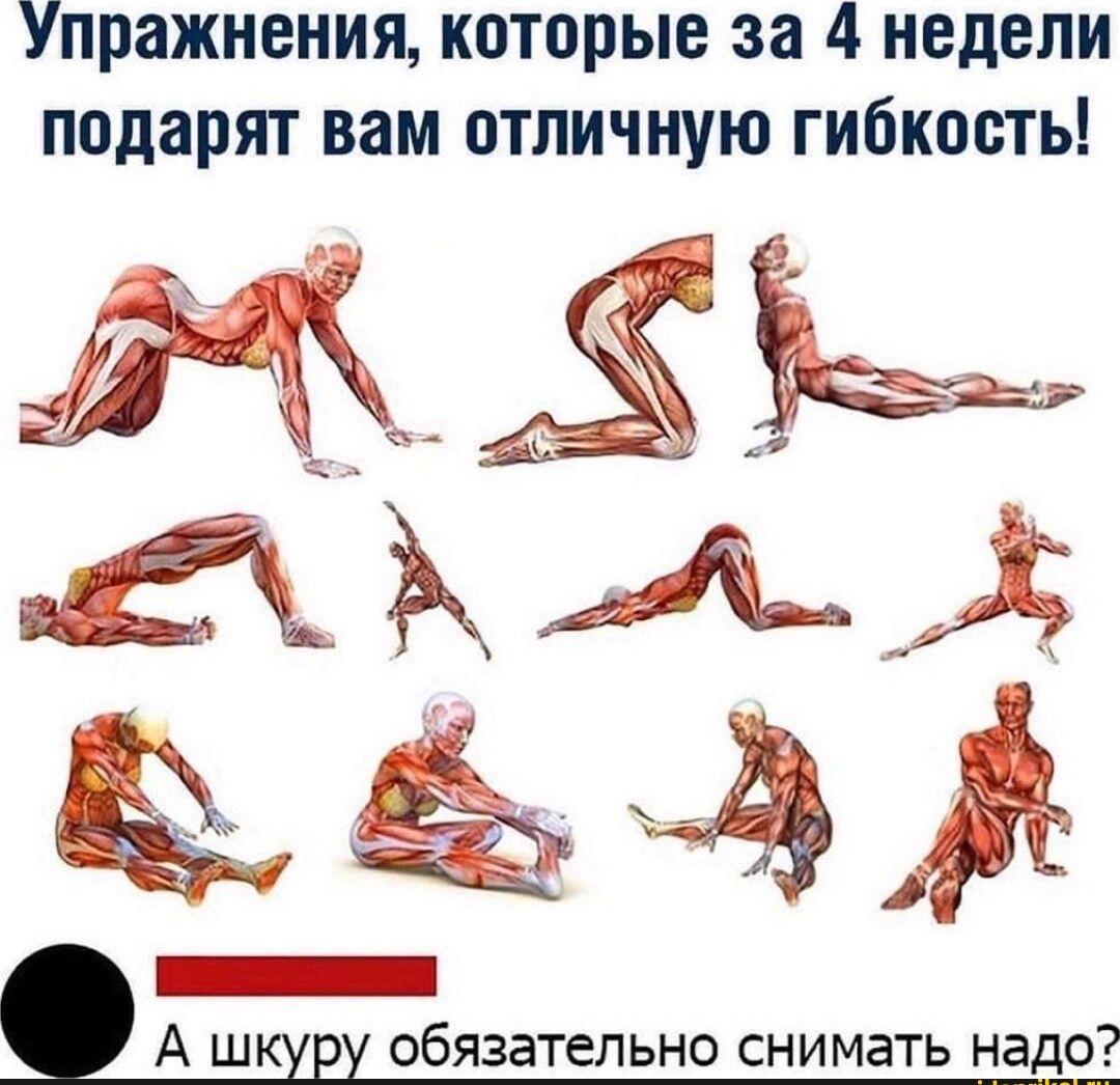 Упражнения которые за 4 недели подарят вам отличную гибкость А ш обязательно снимать надо
