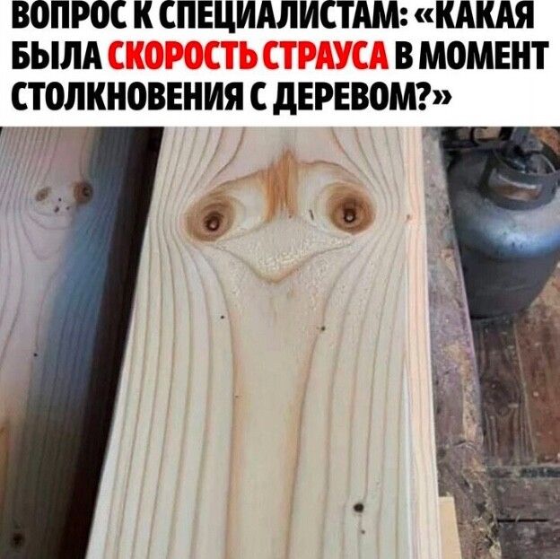 ВОПРЩ К СПЕЦИАЛИСТАМ КАКАЯ БЫЛА ВМОМЕКТ СТМККОВЕНИЯ С дЕРЕВОМ и о