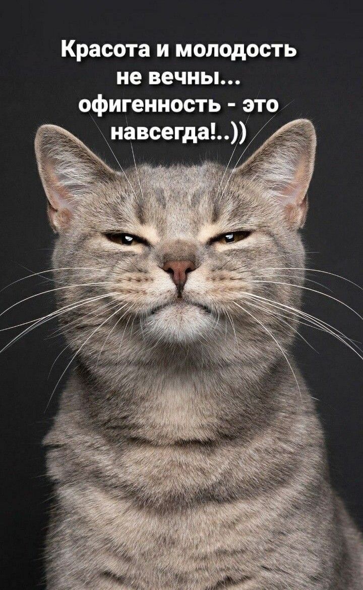 Красота и молодость не вечны офигенность это навсегда