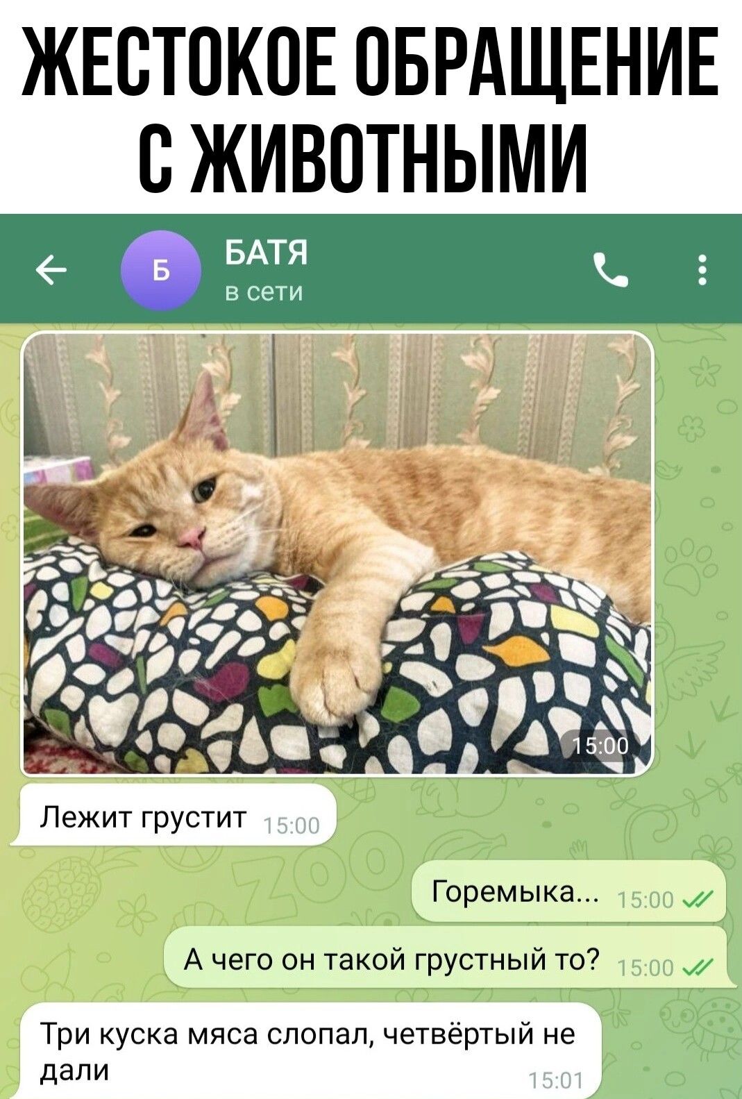 ЖЕСТПКОЕ ОБРАЩЕНИЕ В ЖИВОТНЫМИ Лежит грустит Горемыка А чего он такой грустный то Три куска мяса спопап четвёртый не дали