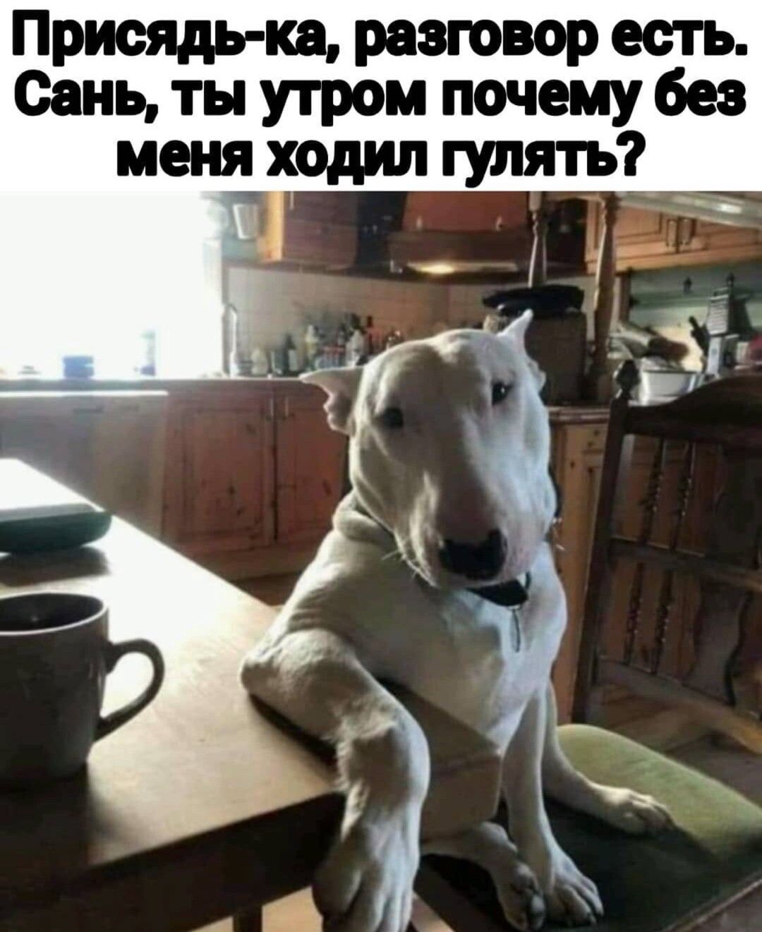 Присядь кв разговор есть Сань ты утром почему без