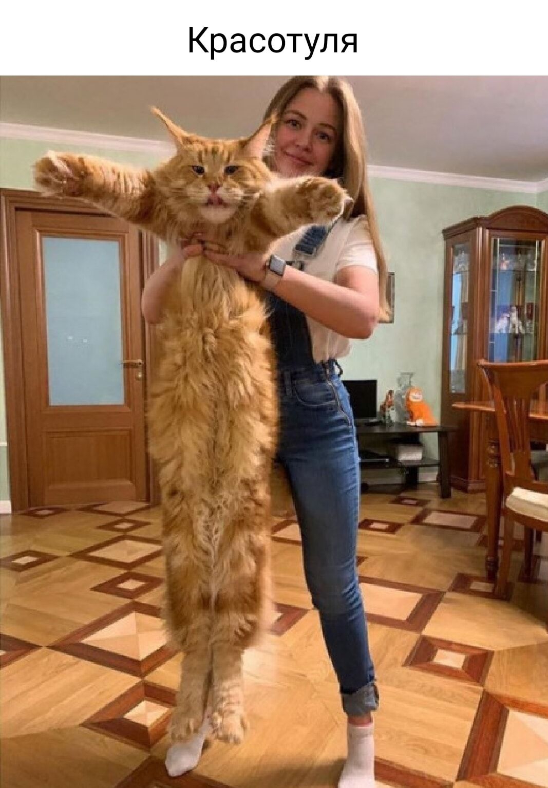 Красотуля