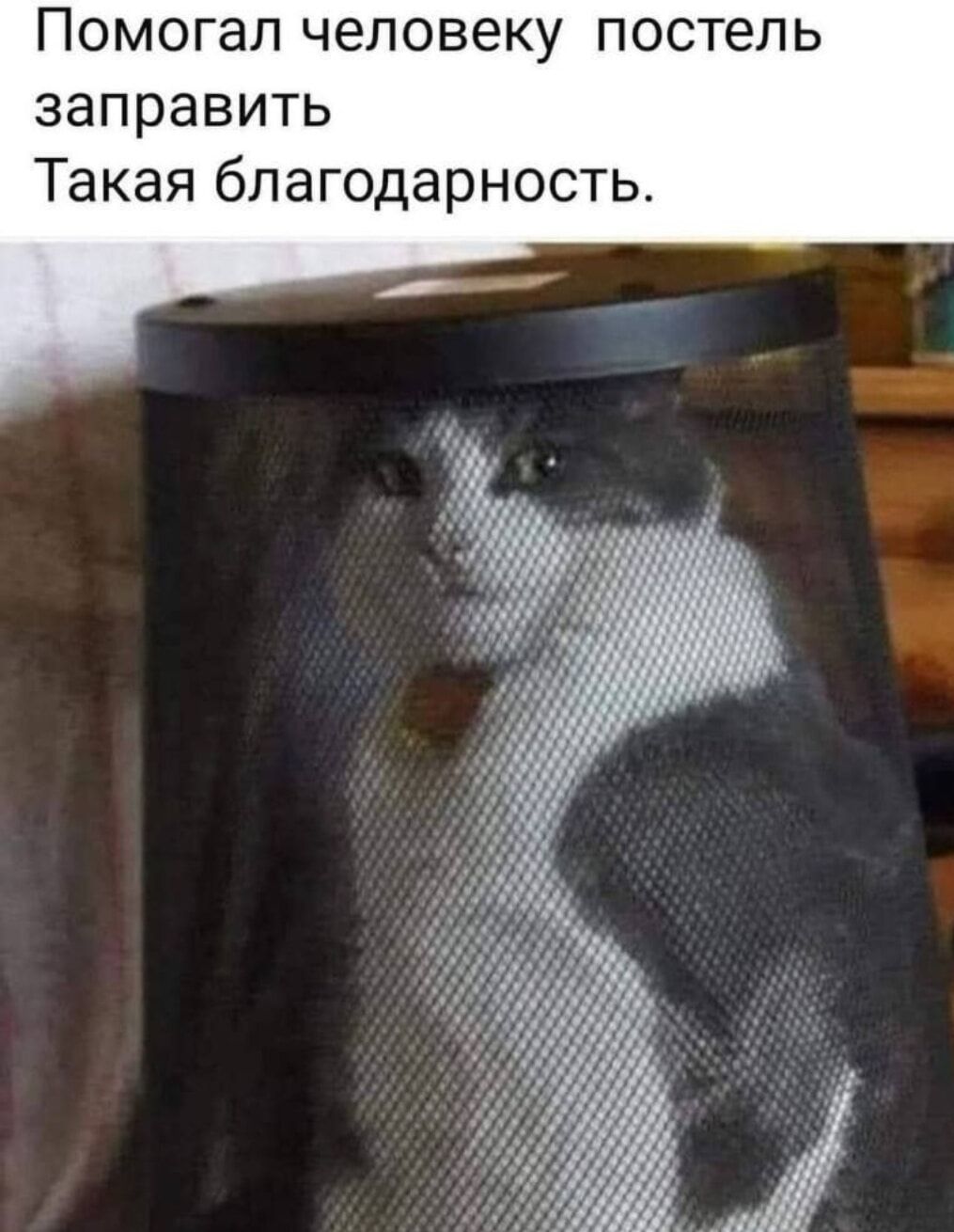 Помогал человеку постель заправить Такая благодарность