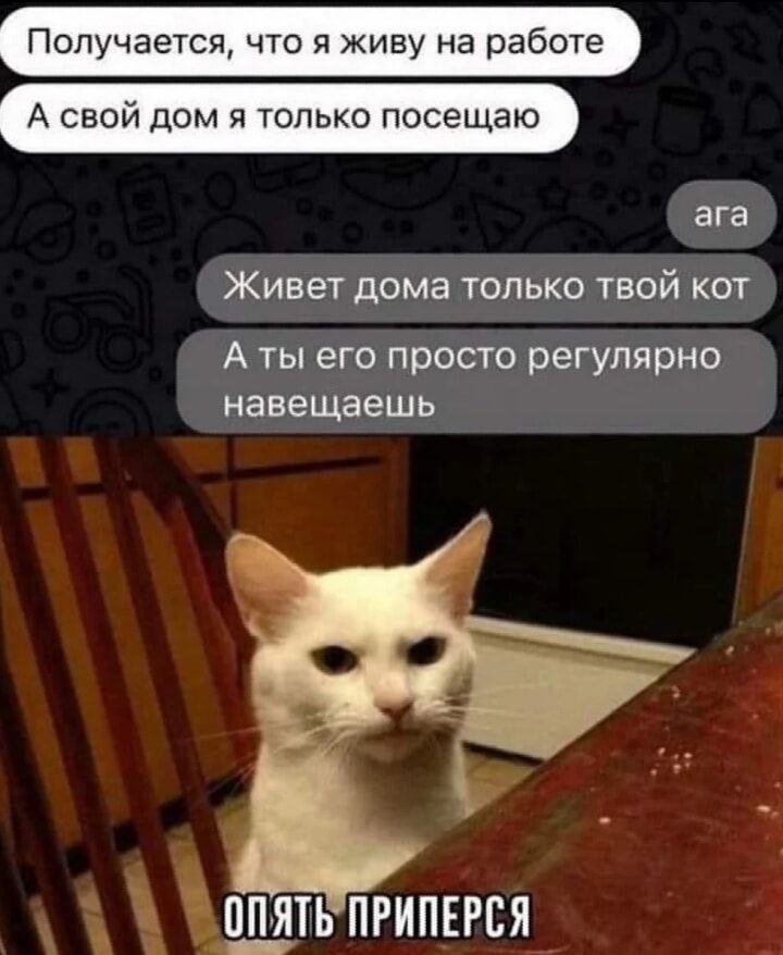 Получается что я живу на работе А свой дом я только посещаю ага Живет дома только твой кот А ты его просто регулярно навещаешь