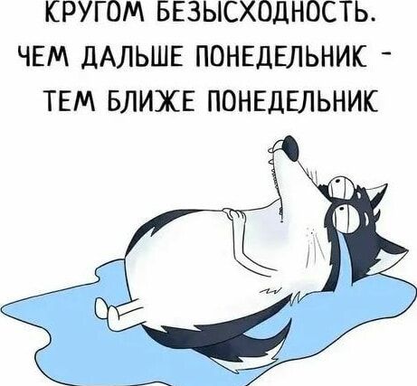 КРУГОМ БЕЗЫСХОДНОСТЬ ЧЕМ дАЛЬШЕ ПОНЕДЕЛЬНИК ТЕМ БЛИЖЕ ПОНЕДЕЛЬНИК