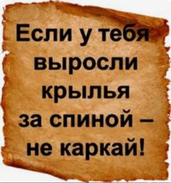 Если Бид выросли крылья 3 за спиной 34 не каркай