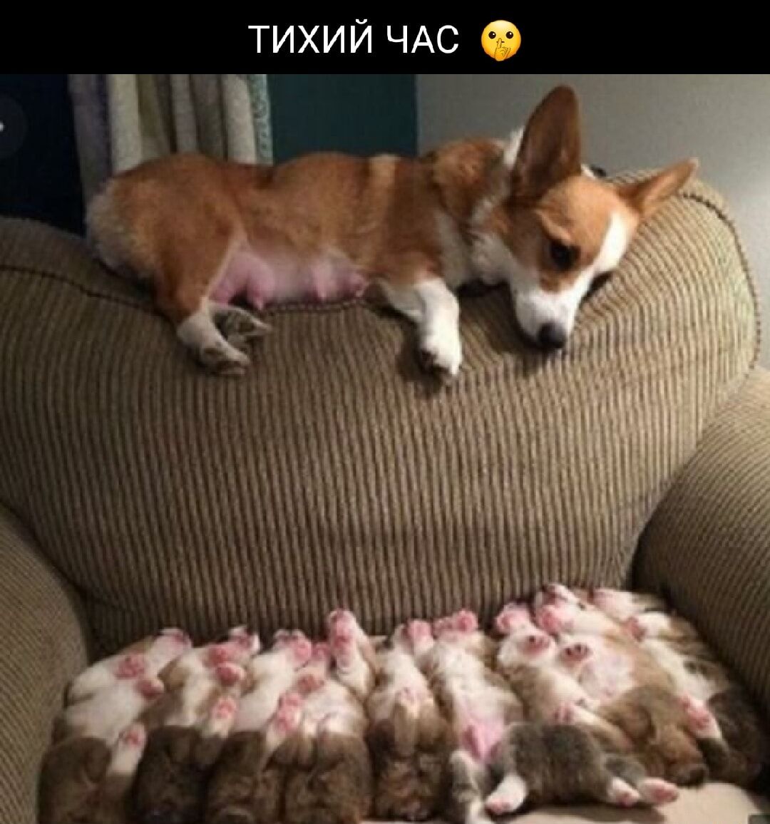 ТИХИ Й ЧАС