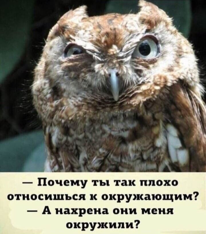 Почему ты так плохо относишься к окружающим А нахрена они меня окружили