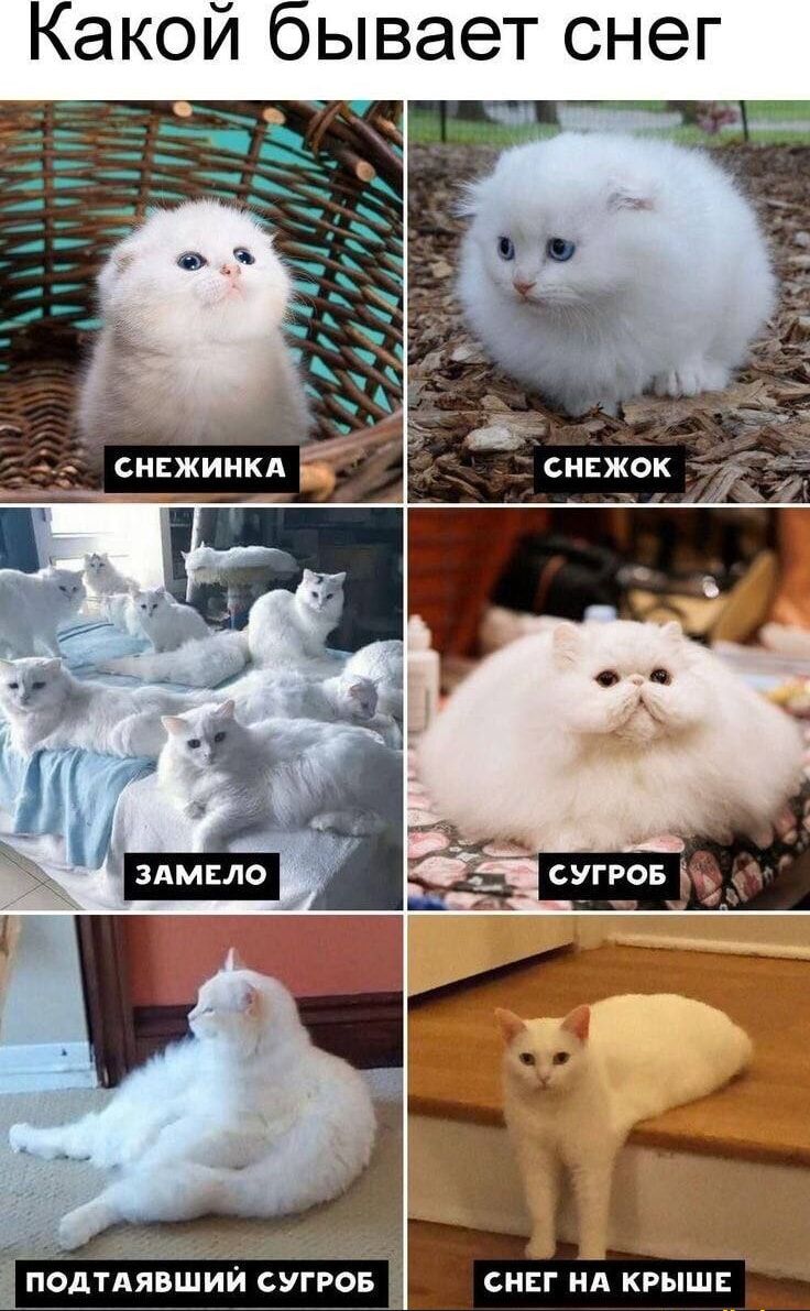 Какой бывает снег __ чи поднявший сугров _ сннг ид крыш