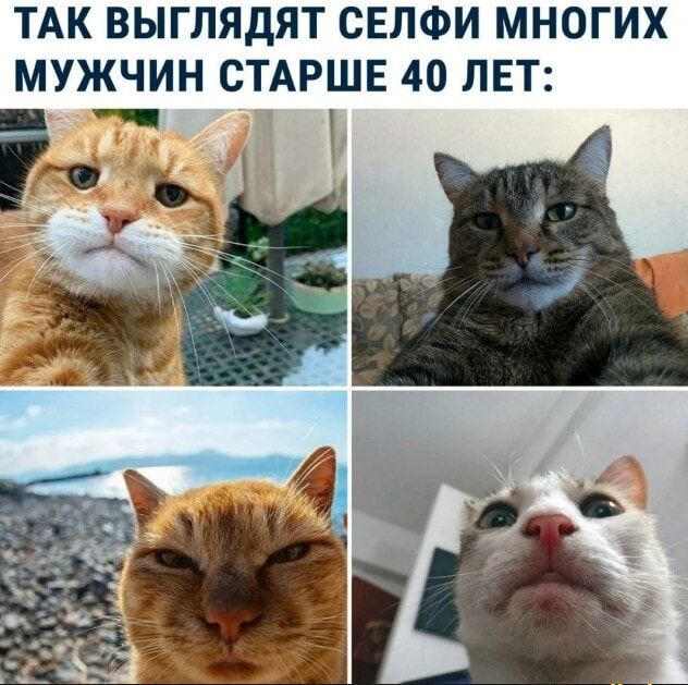 ТАК ВЫГЛЯДЯТ СЕЛФИ МНОГИХ МУЖЧИН СТАРШЕ 40 ЛЕТ ч _ и