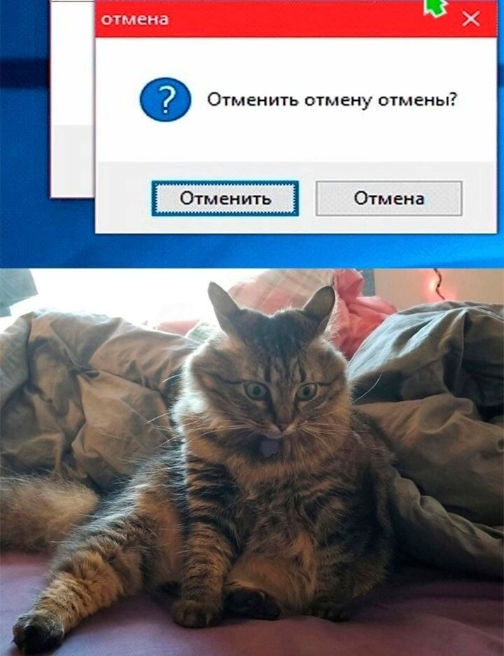 м