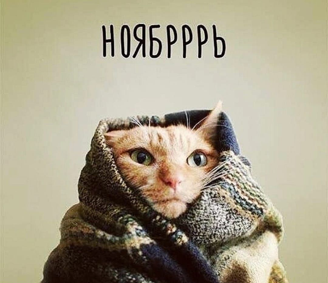 НОЯБРРРЬ