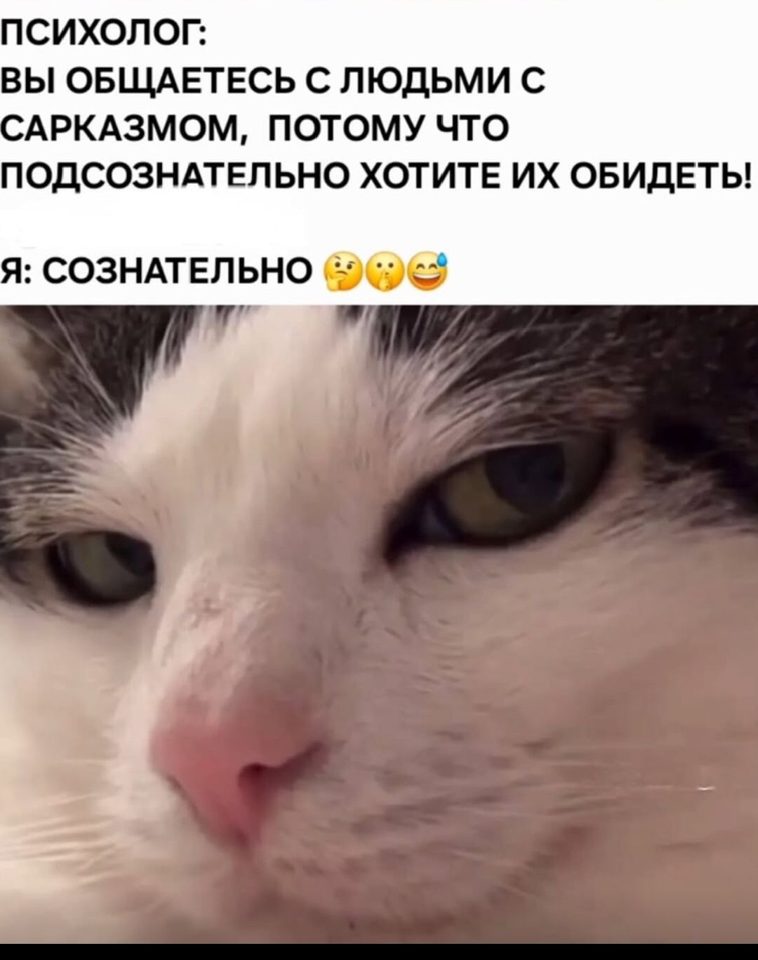 ПСИХОЛОГ: ВЫ ОБЩАЕТЕСЬ С ЛЮДЬМИ С САРКАЗМОМ, ПОТОМУ ЧТО ПОДСОЗНАТЕЛЬНО ХОТИТЕ ИХ ОБИДЕТЬ! Я: СОЗНАТЕЛЬНО