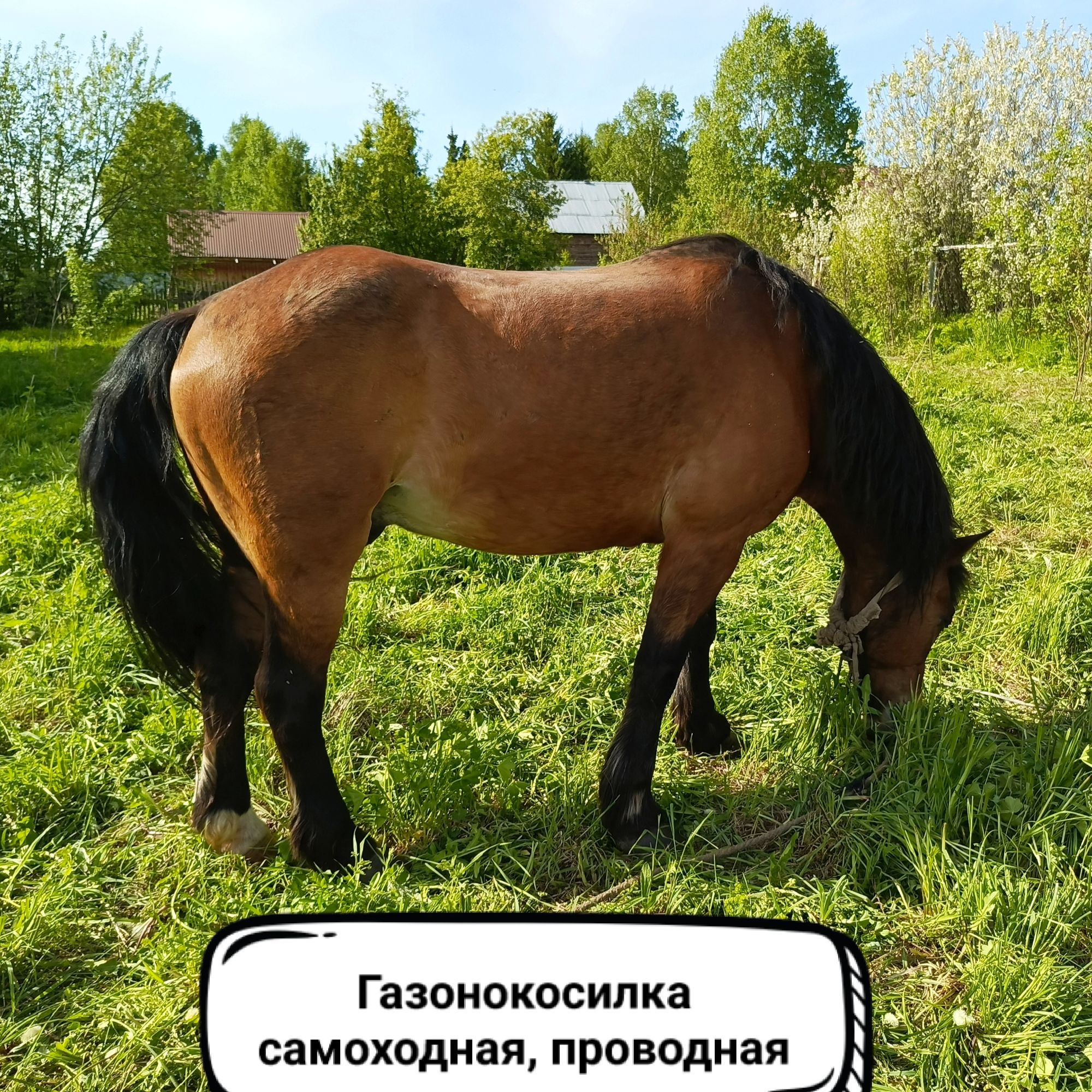 Газонокосилка самоходная, проводная