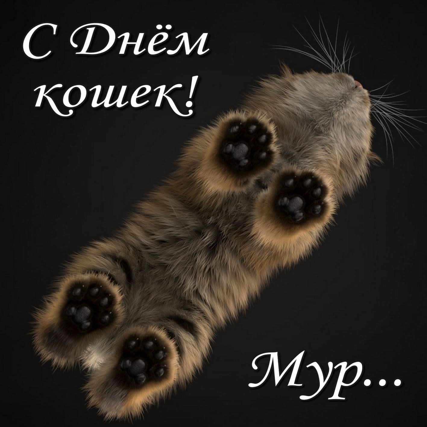 С Днём кошек! Мур...