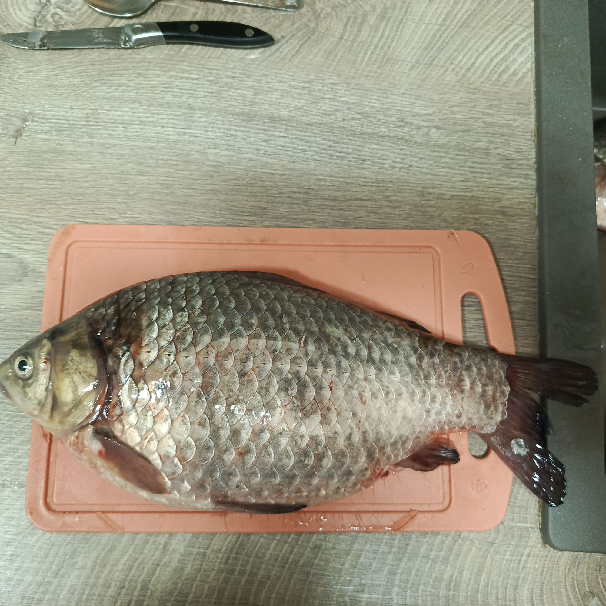 Большая серебристая рыба (карп) на разделочной доске