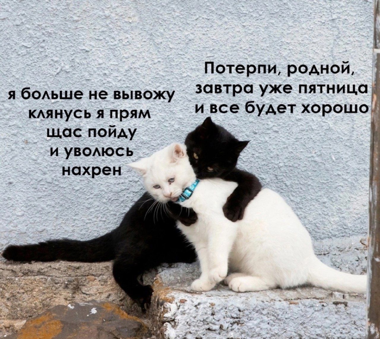 Потерпи, родной, я больше не вывозжу клянусь я прям щас пойду и увольюсь нахрен. Потерпи, родной, завтра уже пятница и всё будет хорошо