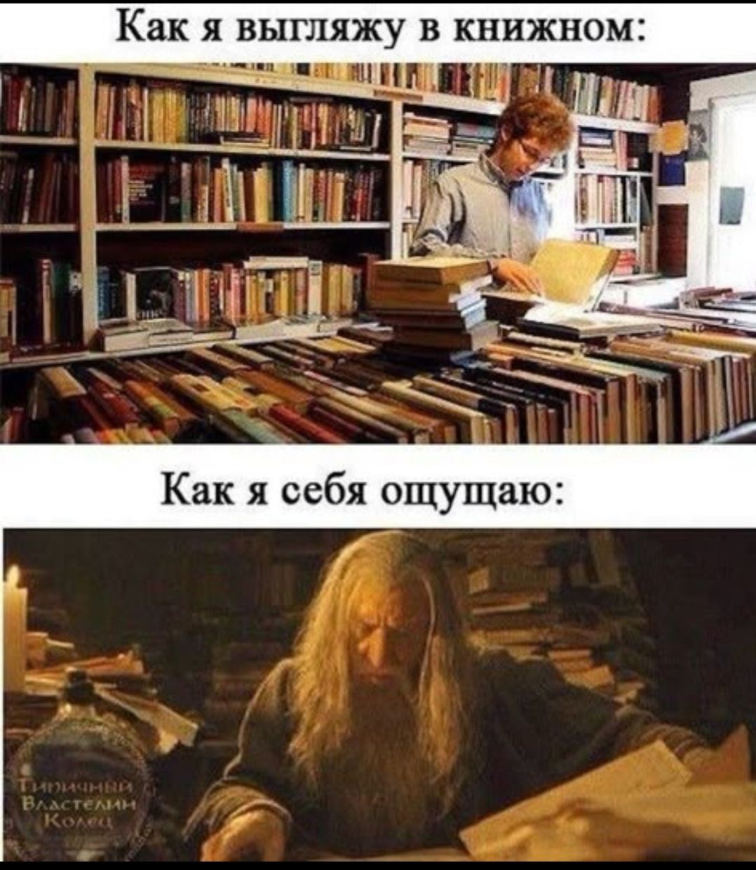 Как я выгляжу в книжном:\nКак я себя ощущаю: