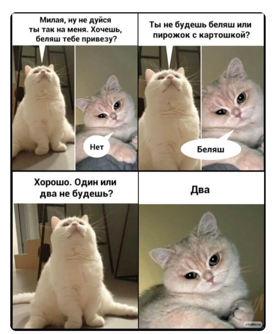 Милая, ну не дуйся ты так на меня. Хочешь, беляш тебе привезу? Нет. Ты не будешь беляш или пирожок с картошкой? Беляш. Хорошо. Один или два не будешь? Два.