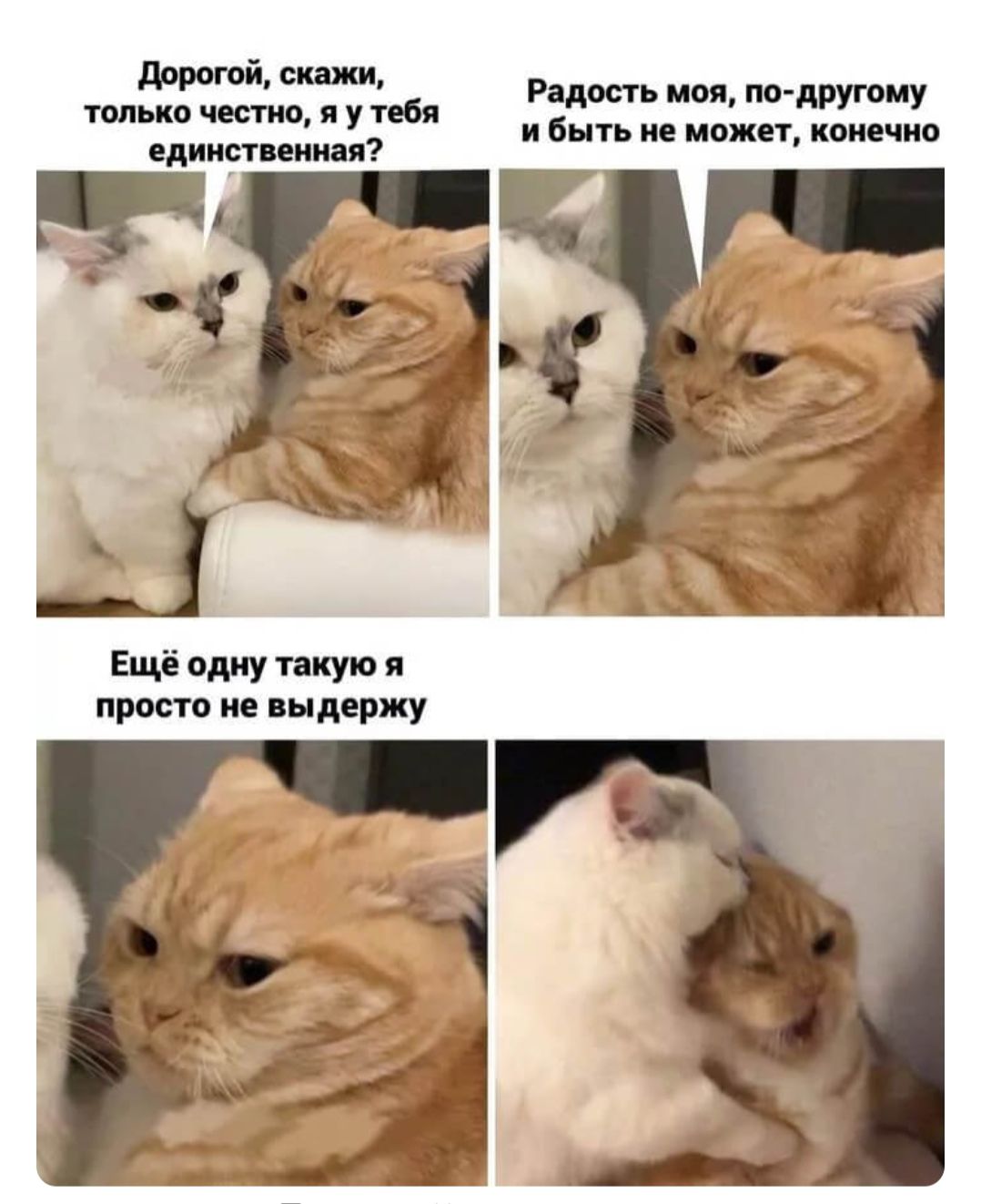 Дорогой, скажи, только честно, я у тебя единственная? Радость моя, по-другому и быть не может, конечно. Ещё одну такую я просто не выдержу.