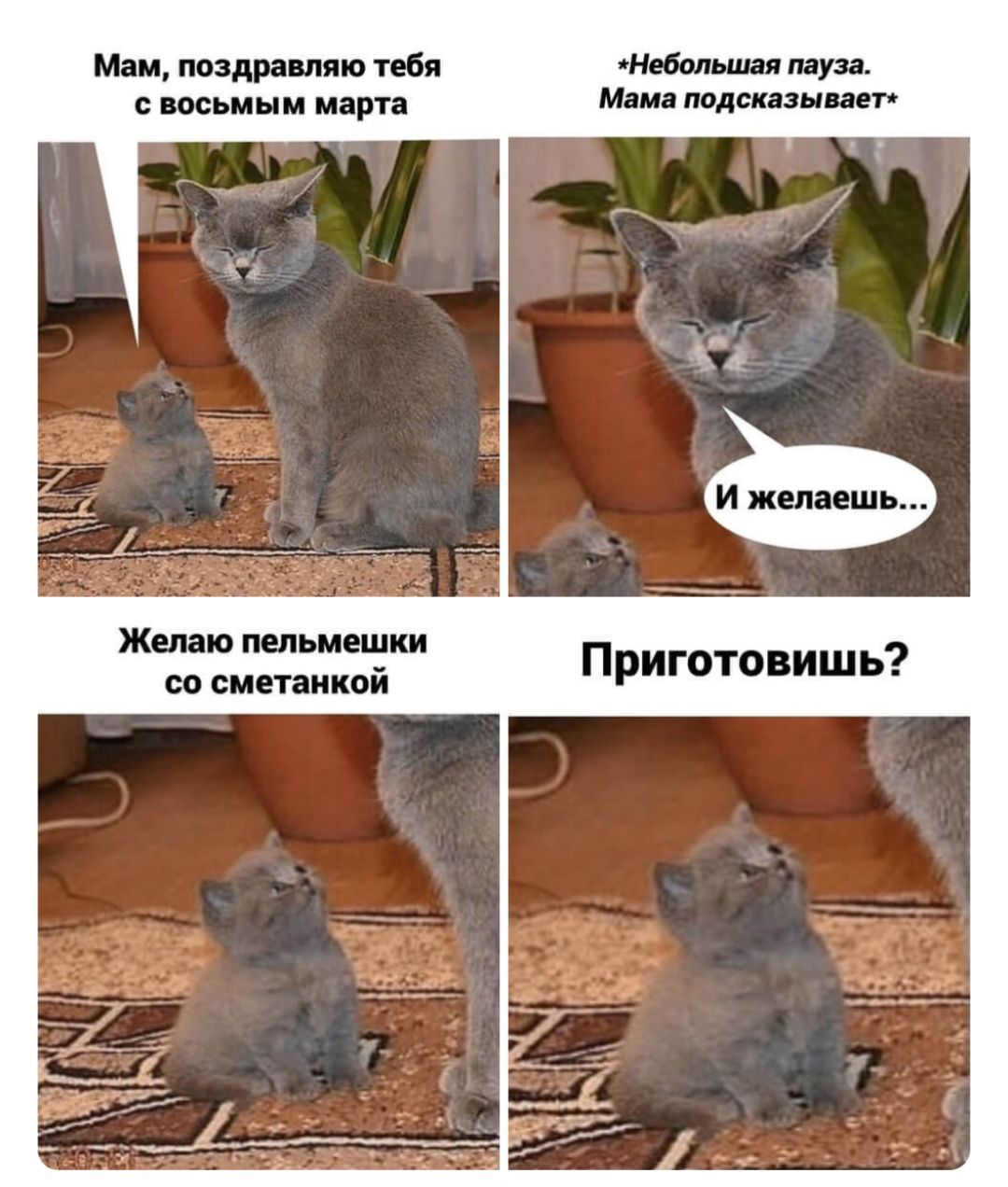 Мам, поздравляю тебя с восьмым марта *Небольшая пауза. Мама подсказывает* И желаешь... Желаю пельмешки со сметанкой Приготовить?