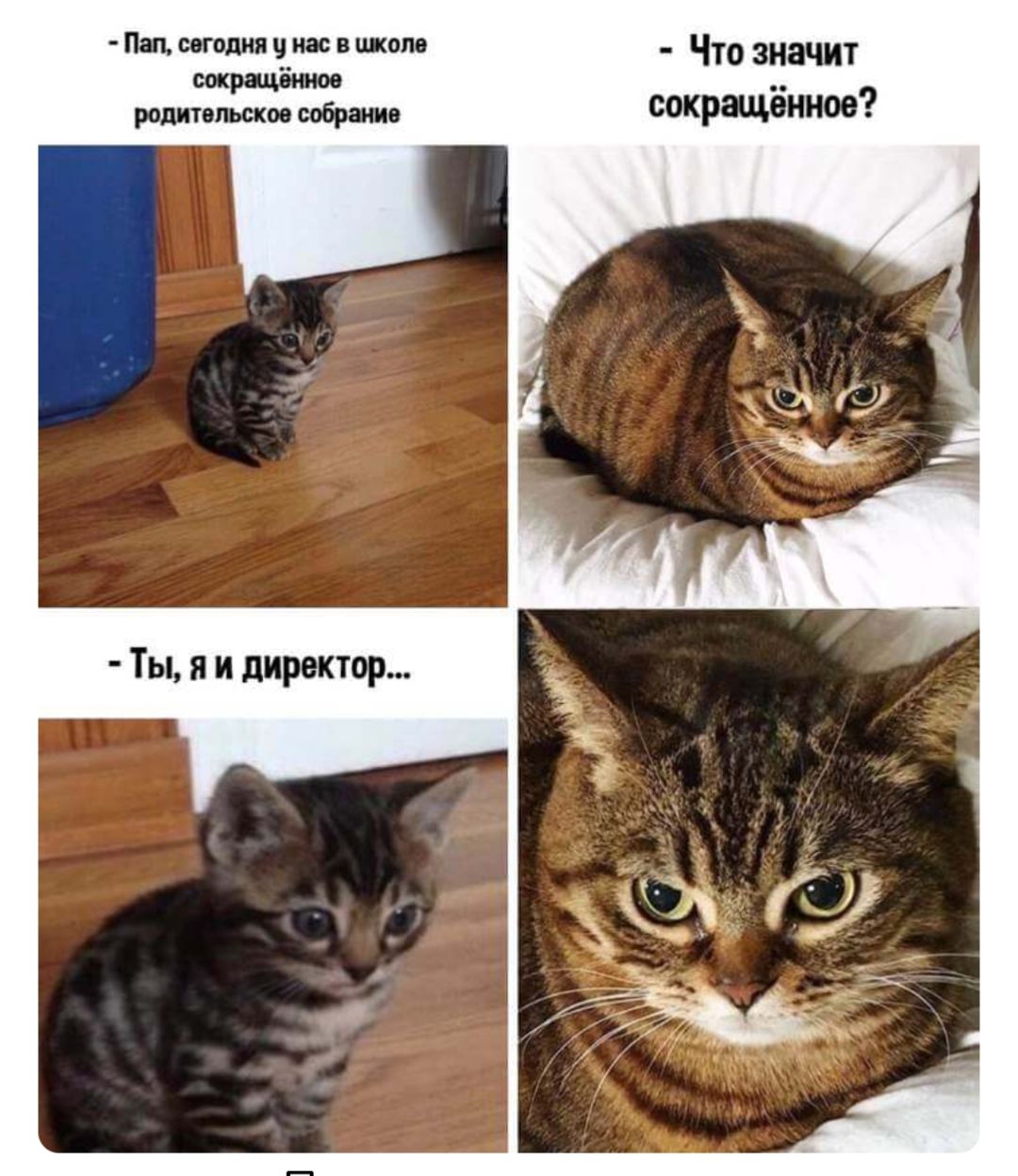 - Пап, сегодня у нас в школе сокращённое родительское собрание
- Что значит сокращённое?
- Ты, я и директор...