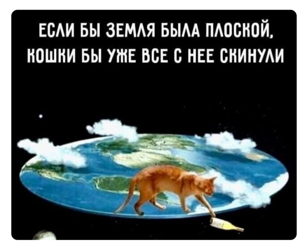 ЕСЛИ БЫ ЗЕМЛЯ БЫЛА ПЛОСКОЙ, КОШКИ БЫ УЖЕ ВСЕ С НЕЕ СКИНУЛИ