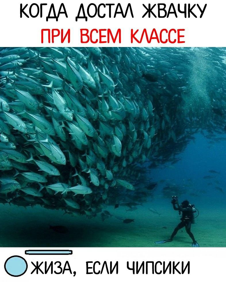 когдА достм ЖВАЧКУ ОЖИЗА ЕСАИ чипсики