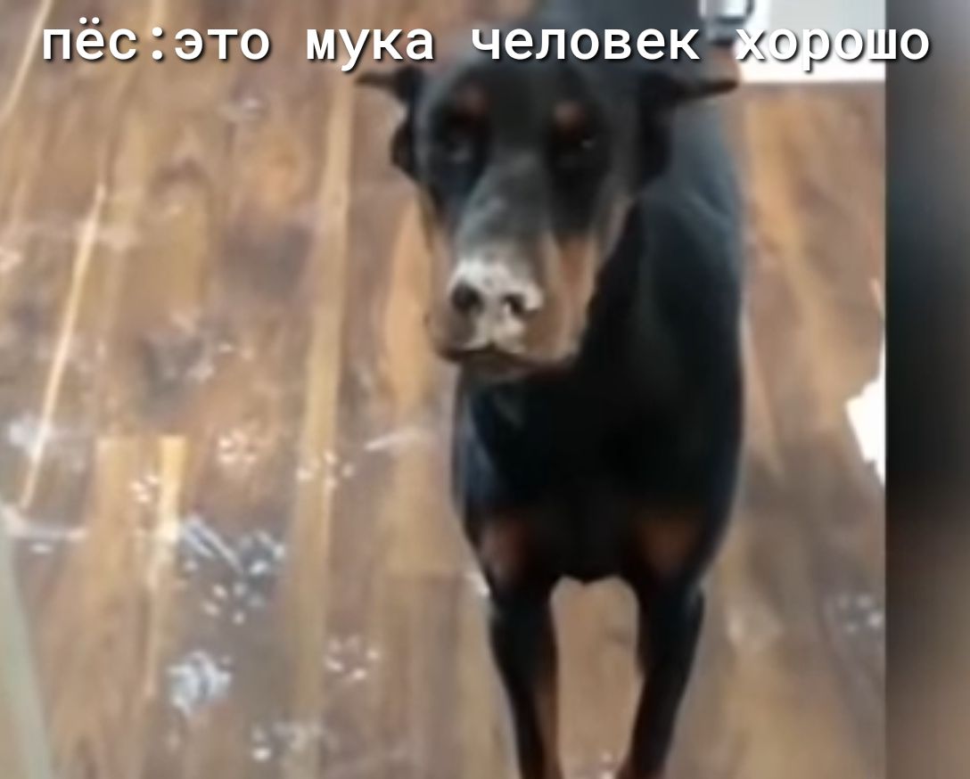 Шё