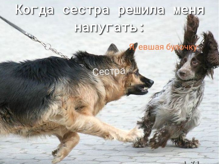 Когда сестра решила мачя напугать